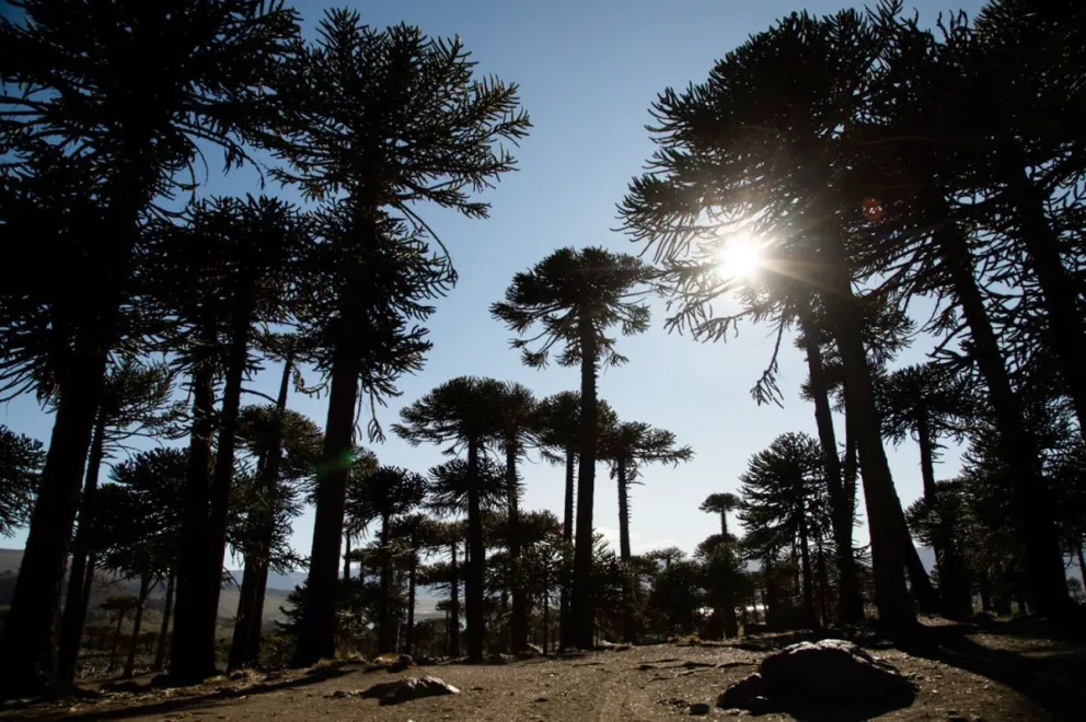 En este momento estás viendo Caviahue-Copahue, el pueblo más lindo del mundo