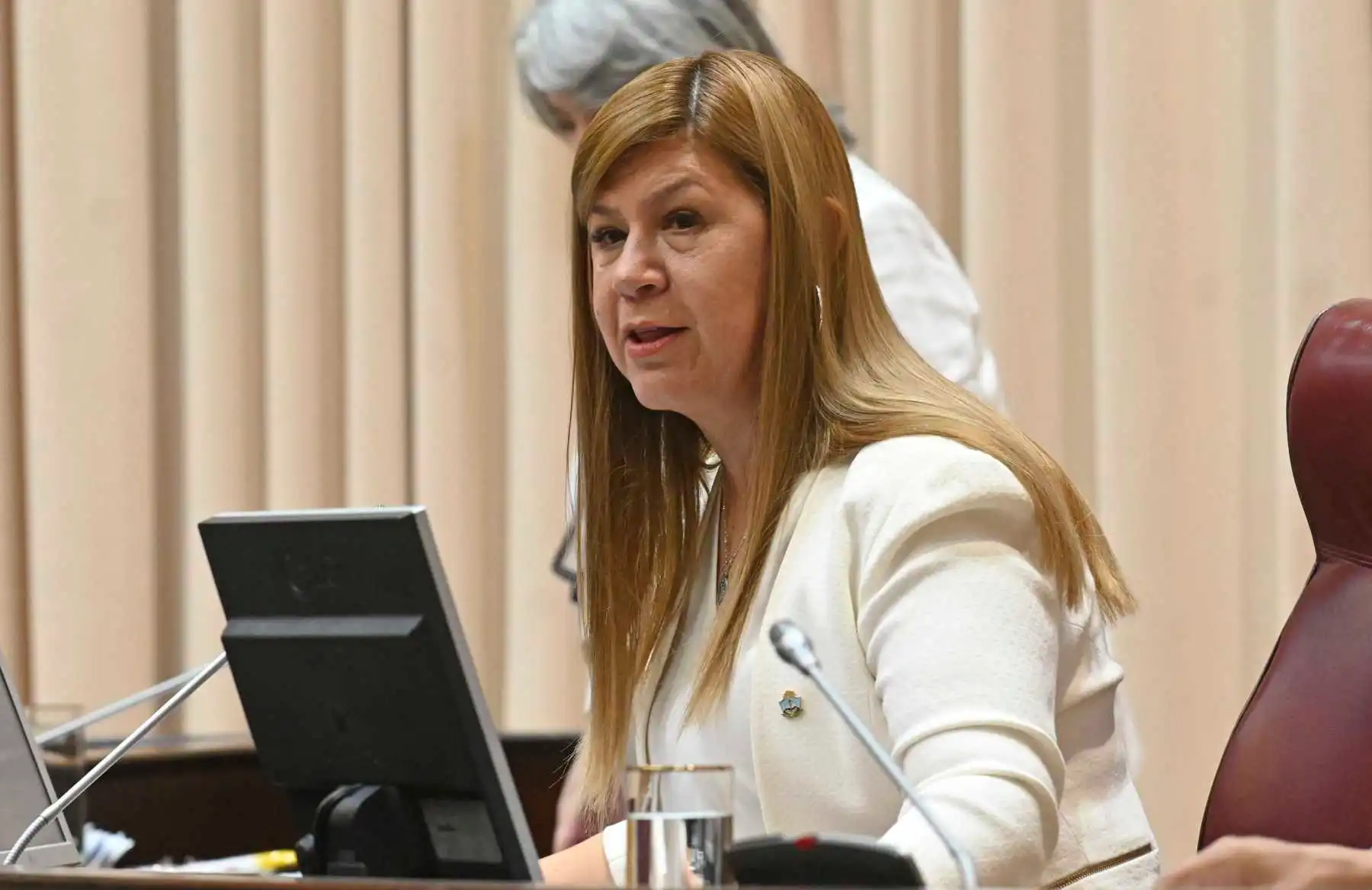 En este momento estás viendo Gloria Ruiz denuncia un golpe político tras la crisis en la Legislatura de Neuquén