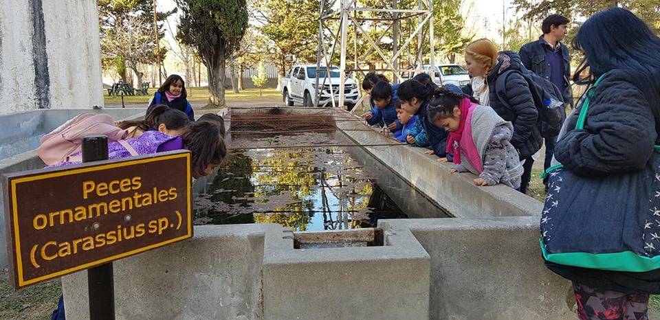 Lee más sobre el artículo Donde nace el agua y florece la historia: la Piscicultura de Plottier