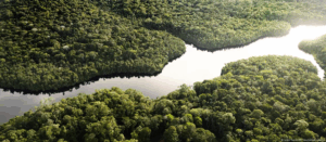 Lee más sobre el artículo Brasil aprueba una ley que debilita los controles ambientales y enciende las alarmas