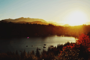 Lee más sobre el artículo Lo que hay que saber: 4 de Noviembre 2025