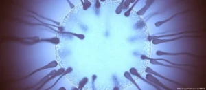 Lee más sobre el artículo Frecuencia y salud: lo que la ciencia empieza a decir sobre la eyaculación y la calidad del esperma