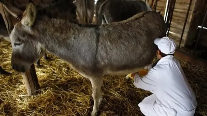 La crisis empuja al mercado hacia una leche que parecía impensada