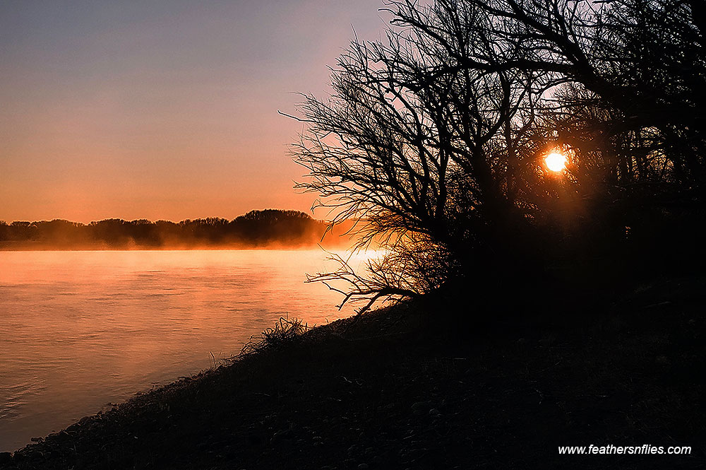 En este momento estás viendo Amanece que no es poco: viernes 17 de abril