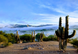 Lee más sobre el artículo Amanece que no es poco: miércoles 15 de abril