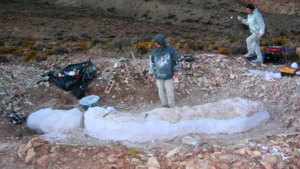 Lee más sobre el artículo Un gigante patagónico vuelve a reescribir la historia bajo la tierra de Chubut