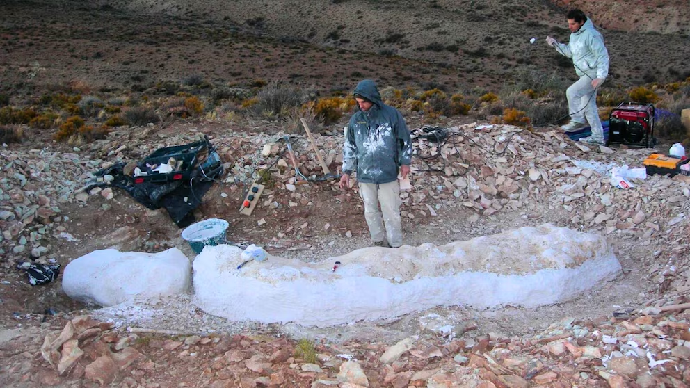 En este momento estás viendo Un gigante patagónico vuelve a reescribir la historia bajo la tierra de Chubut