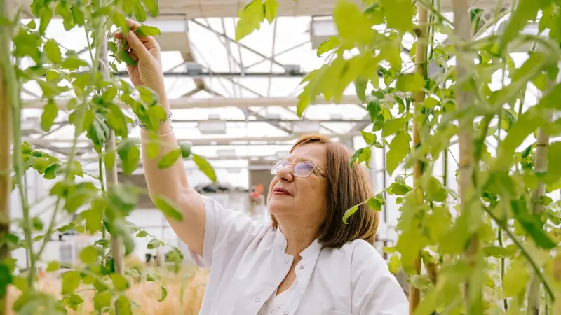 Otra científica argentina vuelve a ser reconocida por el premio L’Oréal-Unesco y la ciencia local suma prestigio global