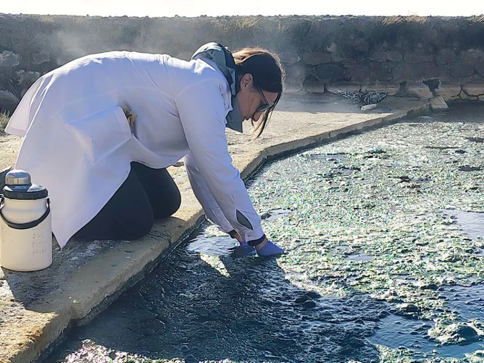 Vida en el agua caliente: científicos buscan respuestas invisibles en las lagunas termales de Neuquén
