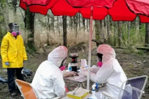 Lee más sobre el artículo Neuquén lleva más de dos décadas estudiando el hantavirus para anticiparse al riesgo