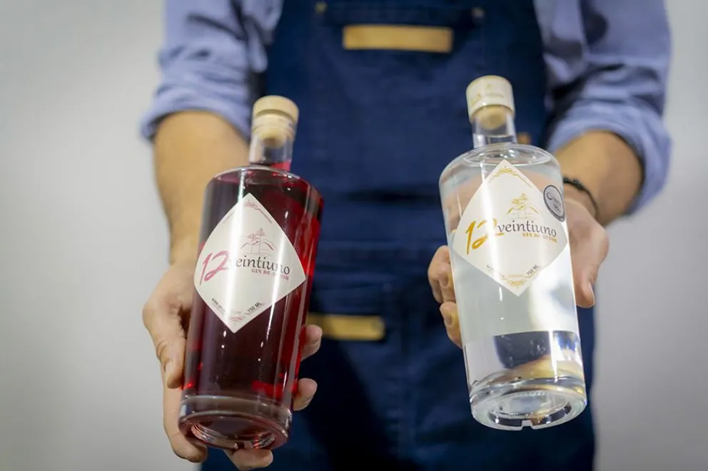 Neuquén apuesta al vino como identidad y no solo como negocio