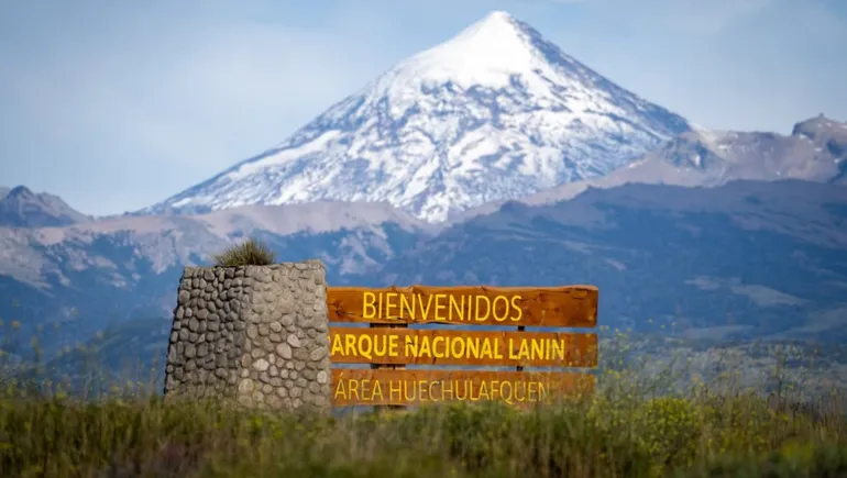 La motosierra llegó a los parques nacionales y la Patagonia quedó entre las zonas más golpeadas