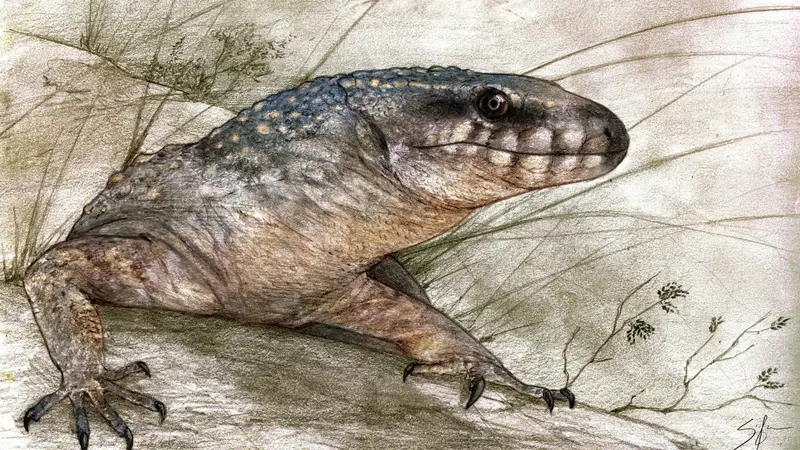 Hallan una nueva especie de lagartija que convivió con los dinosaurios hace 70 millones de años