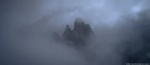 Lee más sobre el artículo Un universo invisible en la niebla: científicos descubren comunidades vivas suspendidas en el aire