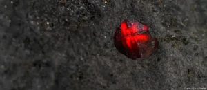 Lee más sobre el artículo Un meteorito de Marte sorprendió a los científicos con minerales nunca vistos en una muestra marciana