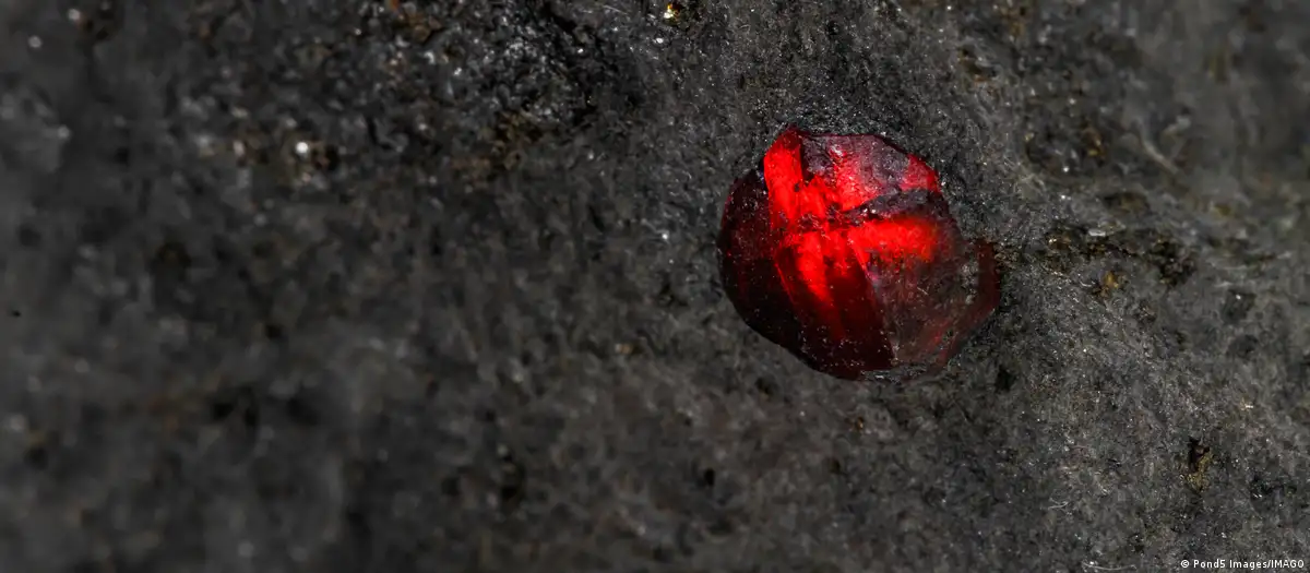 En este momento estás viendo Un meteorito de Marte sorprendió a los científicos con minerales nunca vistos en una muestra marciana