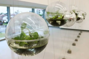 Lee más sobre el artículo Neuquén impulsa una formación innovadora para poner en valor el agua y su gestión sostenible