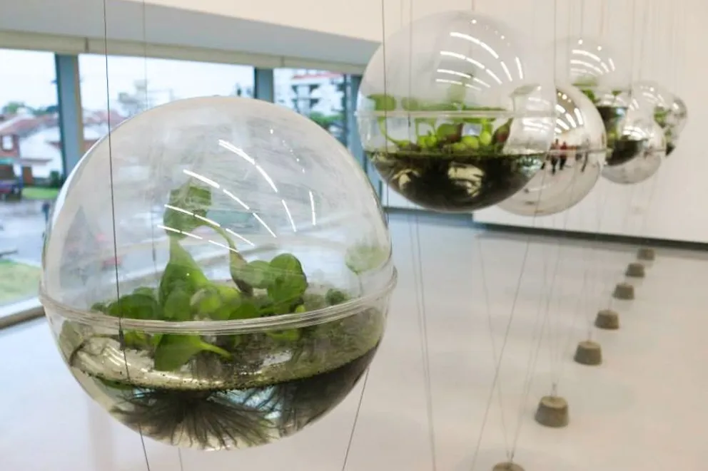 En este momento estás viendo Neuquén impulsa una formación innovadora para poner en valor el agua y su gestión sostenible