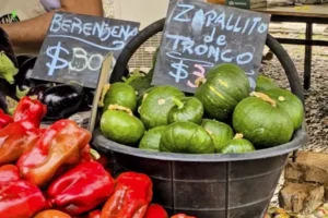 Lee más sobre el artículo Productos con sello neuquino: una propuesta para disfrutar y regalar durante el invierno