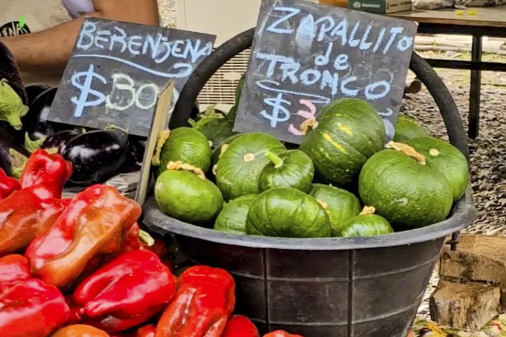 Productos con sello neuquino: una propuesta para disfrutar y regalar durante el invierno