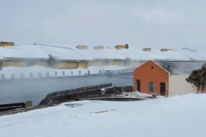 Lee más sobre el artículo Copahue inaugura una nueva temporada de Termas Nieve para disfrutar del invierno patagónico
