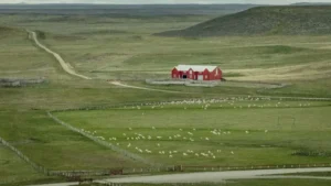 Lee más sobre el artículo Tierra del Fuego impulsa una ley para proteger zonas estratégicas frente a la venta de tierras