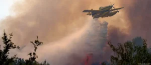 Lee más sobre el artículo España enfrenta el mayor incendio forestal de su historia reciente