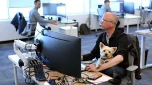 Lee más sobre el artículo La humanización de las mascotas impulsa un mercado global de salud animal que ya mueve más de US$73.000 millones