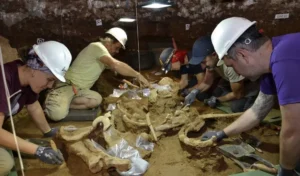 Lee más sobre el artículo Una arqueóloga de Esquel participó de un hallazgo único de hace 200.000 años en España