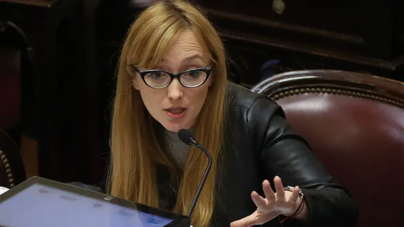 Villarruel habilitó el voto remoto de Fernández Sagasti y una decisión del Senado será clave para la Ley de Tierras