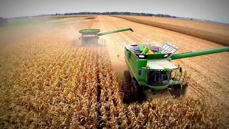 La tierra agrícola toca un récord, pero el pequeño productor paga la cuenta