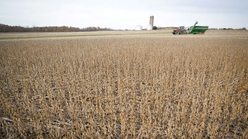 La crisis silenciosa del agro: siete de cada diez productores que alquilan campos trabajan con pérdidas