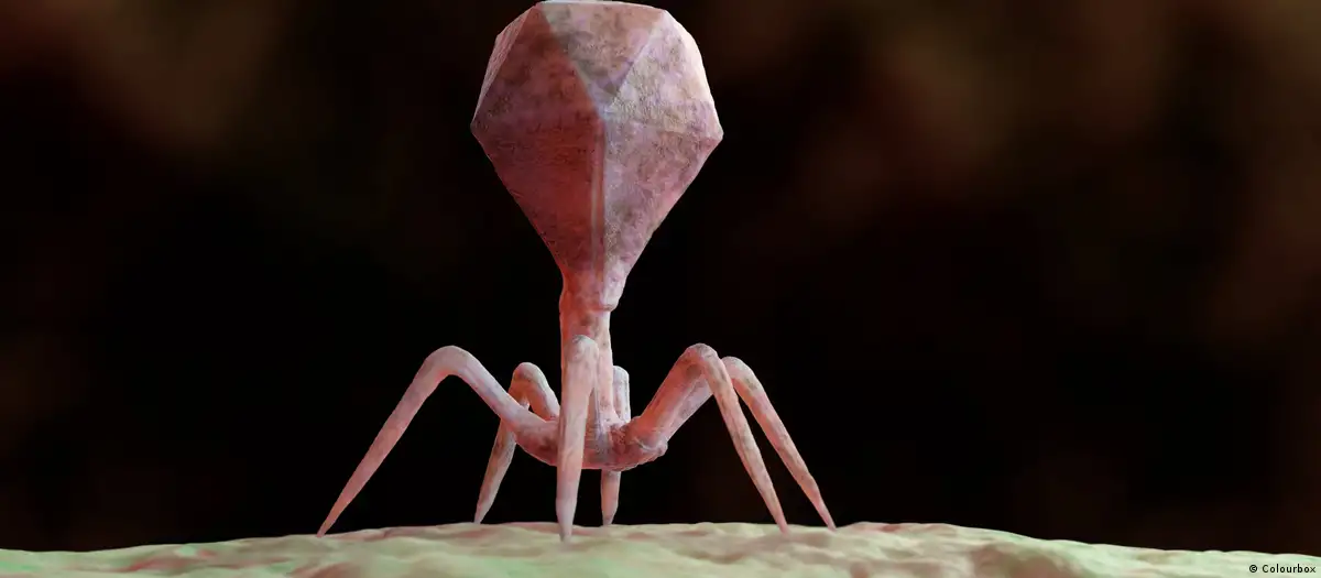En este momento estás viendo La inteligencia artificial empieza a diseñar aliados contra las bacterias resistentes