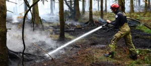 Lee más sobre el artículo Bélgica enfrenta su peor incendio forestal: 3.000 hectáreas arrasadas y semanas de trabajo por delante
