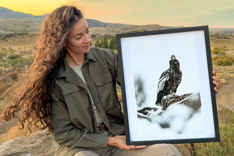 El vuelo del cóndor, contado desde la tierra: una muestra para mirar al gigante de los Andes con otros ojos