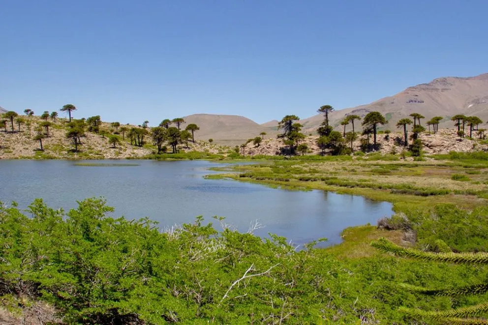 Laguna Escondida: el rincón de Caviahue donde la nieve guarda un secreto