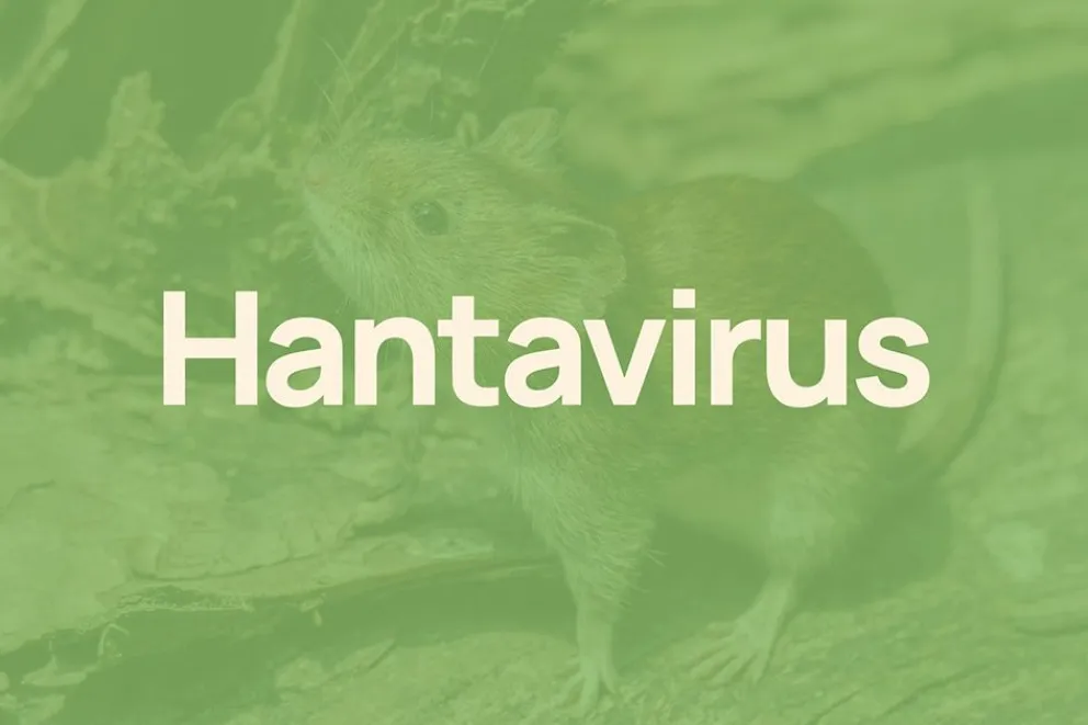 Neuquén amplía la vigilancia sobre el hantavirus y estudiará la variante Andes Sur