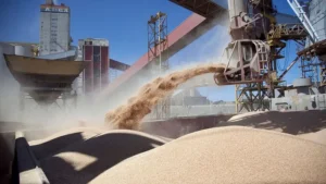 Lee más sobre el artículo Más soja, menos empresas: la paradoja productiva que atraviesa a Buenos Aires, Córdoba y Santa Fe