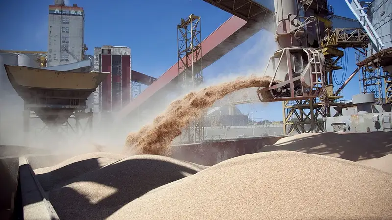 En este momento estás viendo Más soja, menos empresas: la paradoja productiva que atraviesa a Buenos Aires, Córdoba y Santa Fe