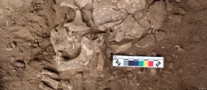 Lee más sobre el artículo La evidencia más antigua del uso humano de sustancias psicoactivas tiene 25.000 años