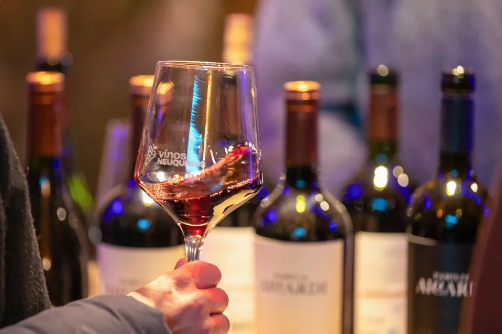 En este momento estás viendo Neuquén elige al Pinot Noir como símbolo de una industria que busca echar raíces