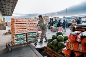 Lee más sobre el artículo El Mercado Concentrador suma sábados de atención para facilitar las compras