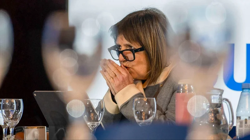 Lee más sobre el artículo Bullrich apura a Milei y pone el 31 de diciembre como límite para definir el futuro de las PASO