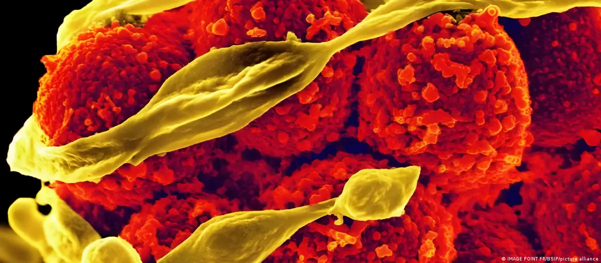 En este momento estás viendo La inteligencia artificial acelera la búsqueda de nuevos antibióticos frente a una resistencia que amenaza la salud mundial