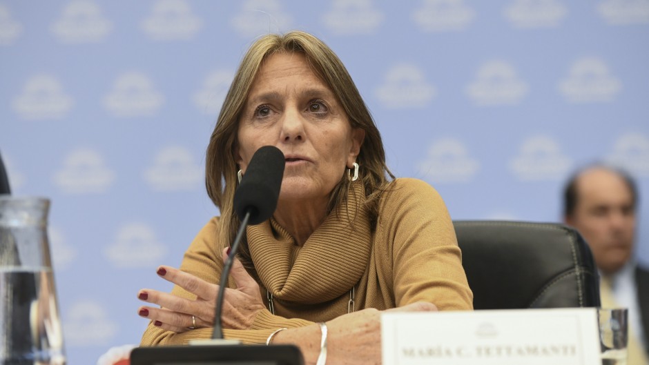 El RIGI queda bajo la lupa: denunciaron a funcionarios de Energía por el caso Harbour