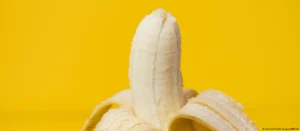 Lee más sobre el artículo El plátano que no se pone marrón: una empresa busca cambiar una de las señales más conocidas de la fruta