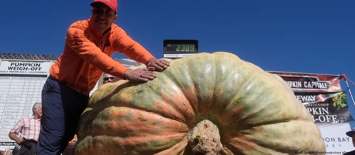 En este momento estás viendo Una calabaza de 1.431 kilos rompió una barrera que parecía imposible