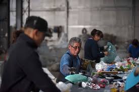 En este momento estás viendo Una cooperativa de Tigre recibe un reconocimiento internacional por unir reciclaje e inclusión social