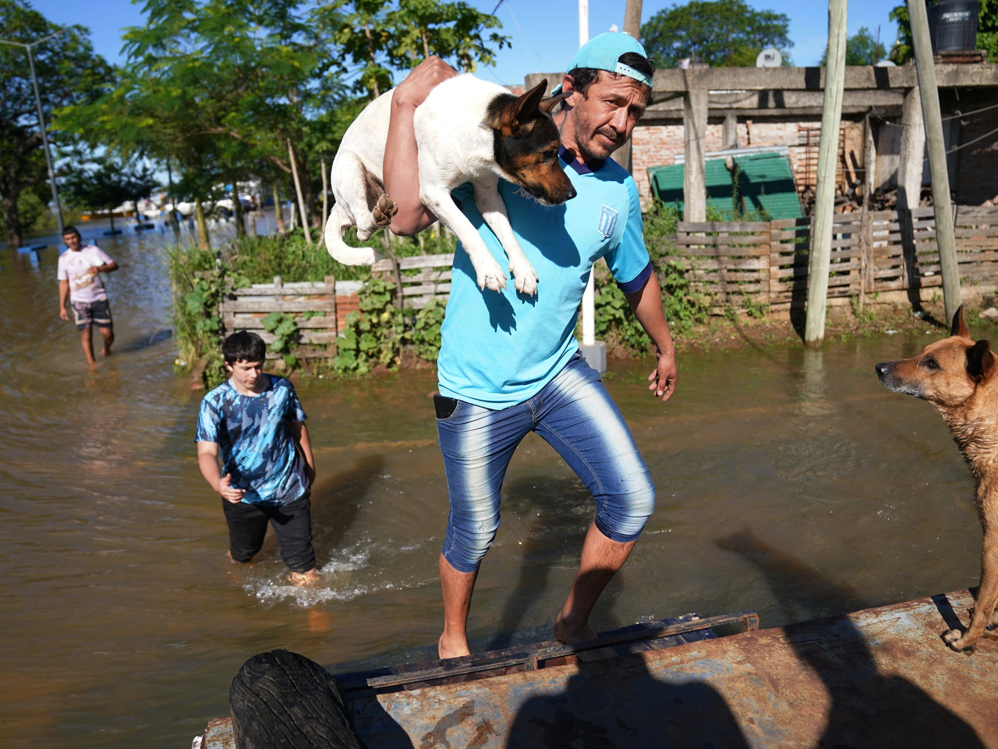 Las inundaciones del Litoral desplazan a la fauna silvestre y multiplican los rescates en zonas urbanas