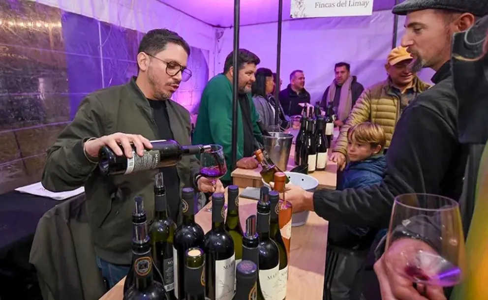En este momento estás viendo Blend Fest reunirá a 14 bodegas para celebrar la diversidad de los vinos neuquinos